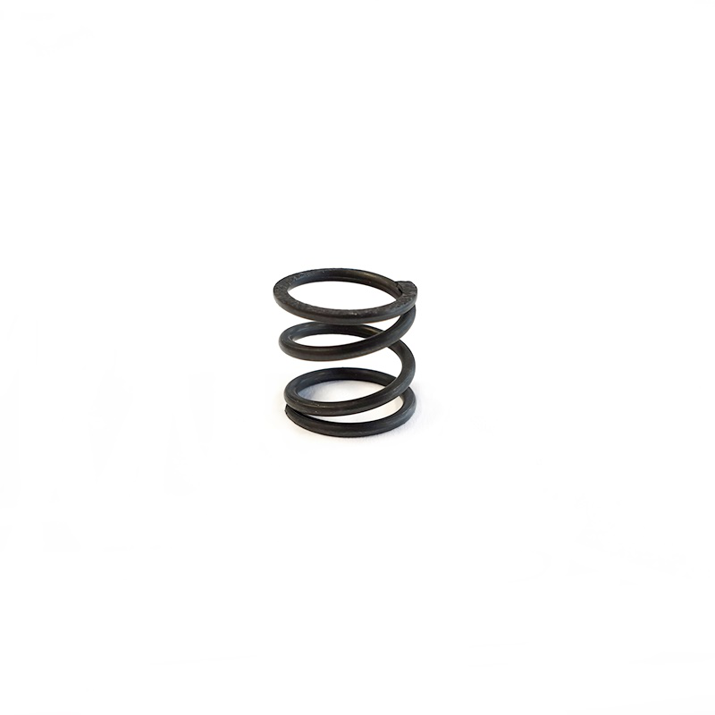 Cap-16033 Capricorn Servo Saver Spring