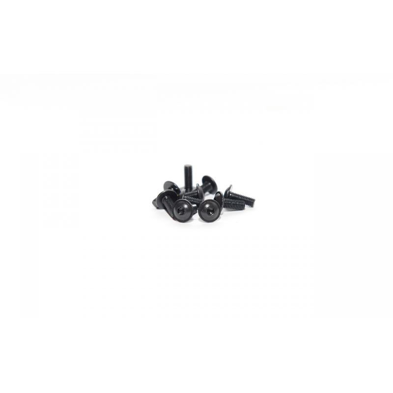 Cap-17034-10 Capricorn Flanged Round Head Screw 3 x 8mm (Qty10)