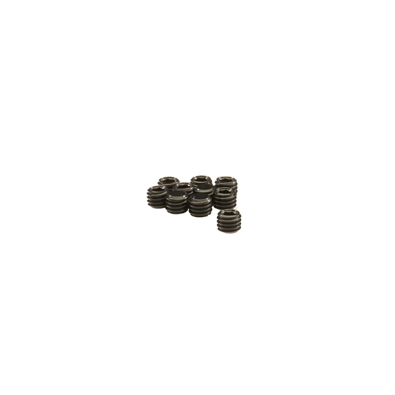 Cap-3112-10 Capricorn Set Screw 5 x 4mm (Qty10)