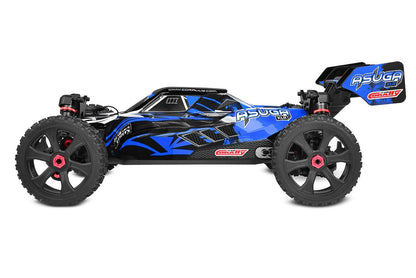 Team Corally - ASUGA XLR 6S - RTR - Blue Brushless Power 6S - No Battery - No Charger (Requires battery & charger)