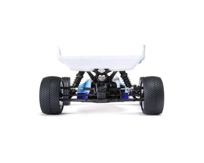 Losi Mini-B 1/16 Brushless 2WD Buggy RTR, Blue, LOS01024T2